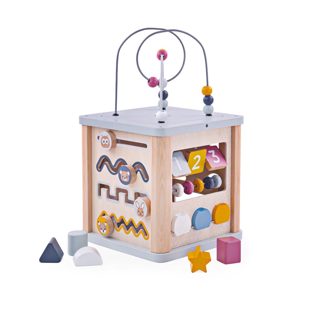 Activity Cube - FSC Certified-32009-Bigjigs-LittleShop Toys
