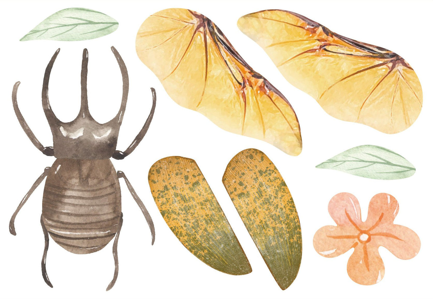 Avenir - Natural Creation Create My Wooden Charm Beetle - CH232096 - Avenir - LittleShop Toys