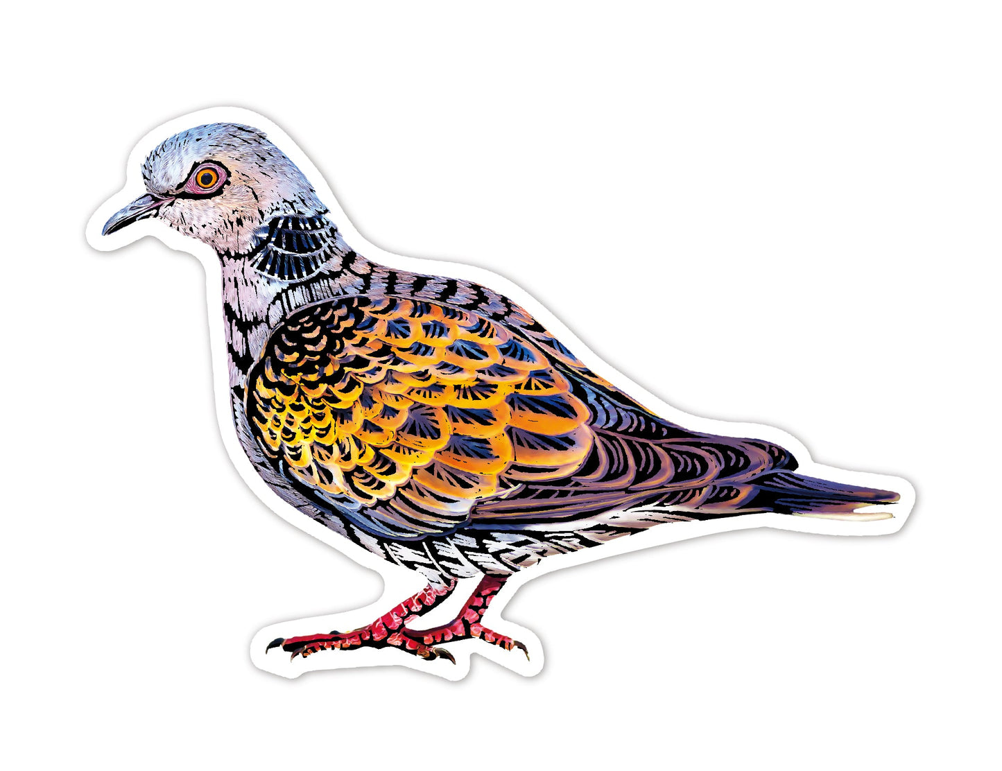 Avenir - Scratch Sticker Bird - CH232075 - Avenir - LittleShop Toys