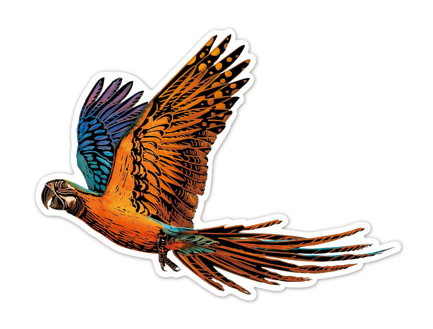 Avenir - Scratch Sticker Bird - CH232075 - Avenir - LittleShop Toys