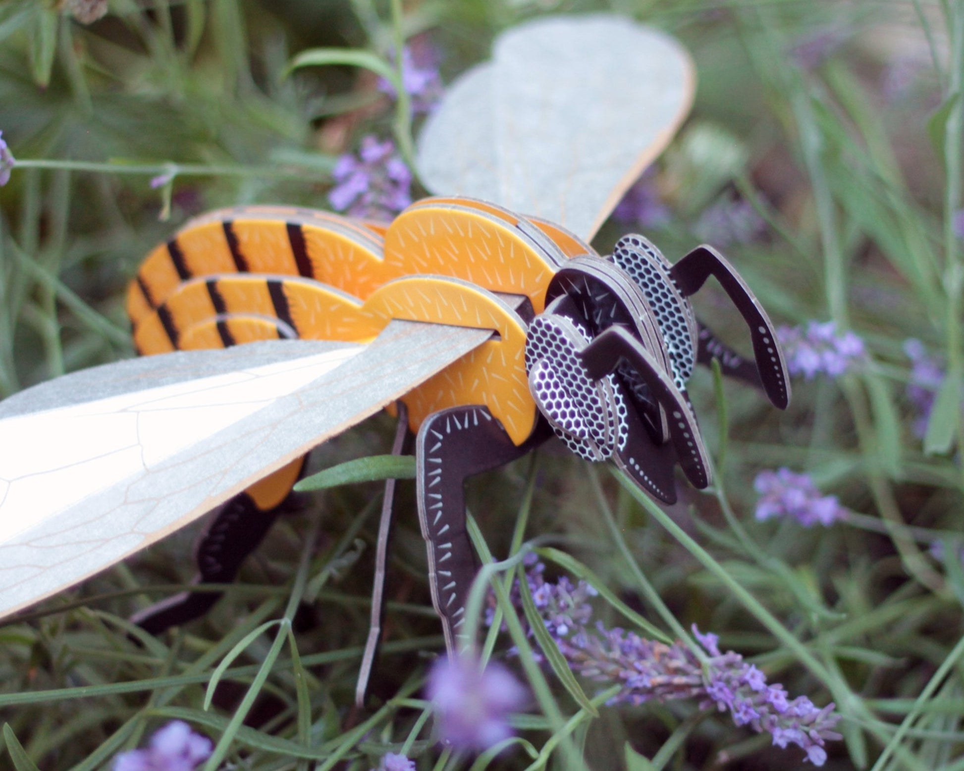 STEM Build - Honey Bee with Moving Mechanisms - BYOMB 001