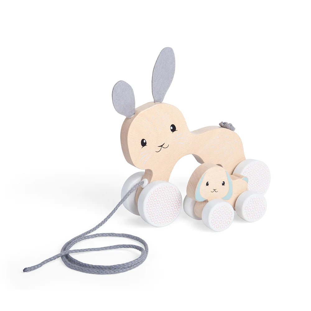 Bunny & Baby Pull Along-35029-Bigjigs-LittleShop Toys