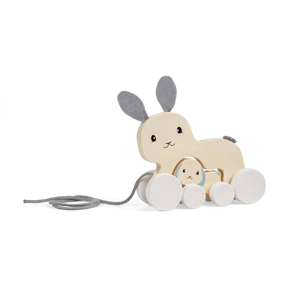 Bunny & Baby Pull Along-35029-Bigjigs-LittleShop Toys