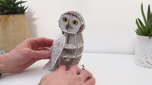 STEM Build - Snowy Owl with Moving Mechanisms
