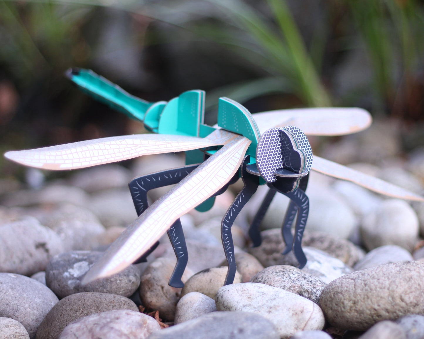 STEM Build - Dragonfly with Moving Mechanisms - BYOMB 004