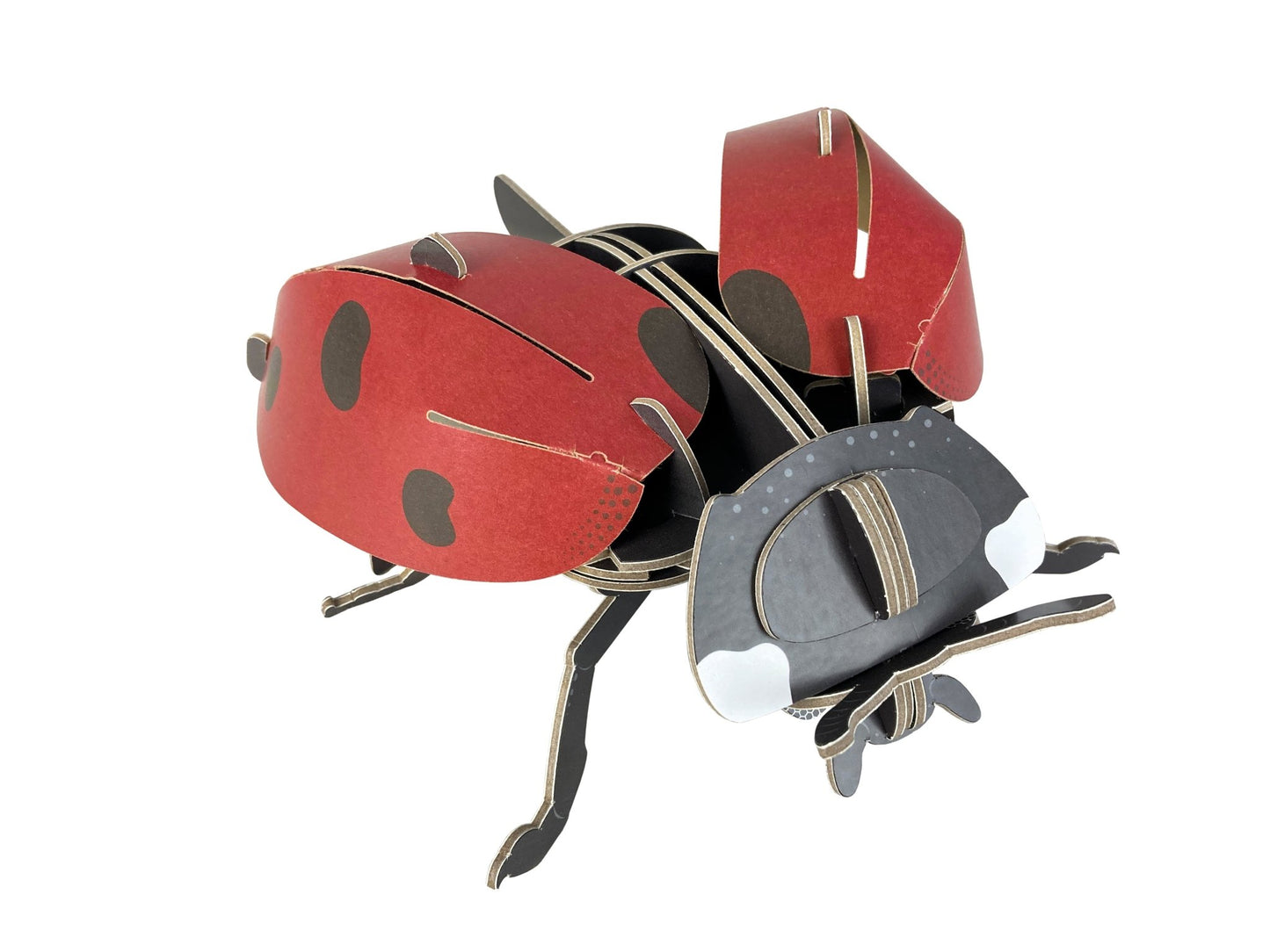 STEM Build - Ladybird with Moving Mechanisms - BYOMB 002