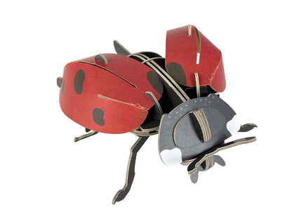 STEM Build - Ladybird with Moving Mechanisms - BYOMB 002