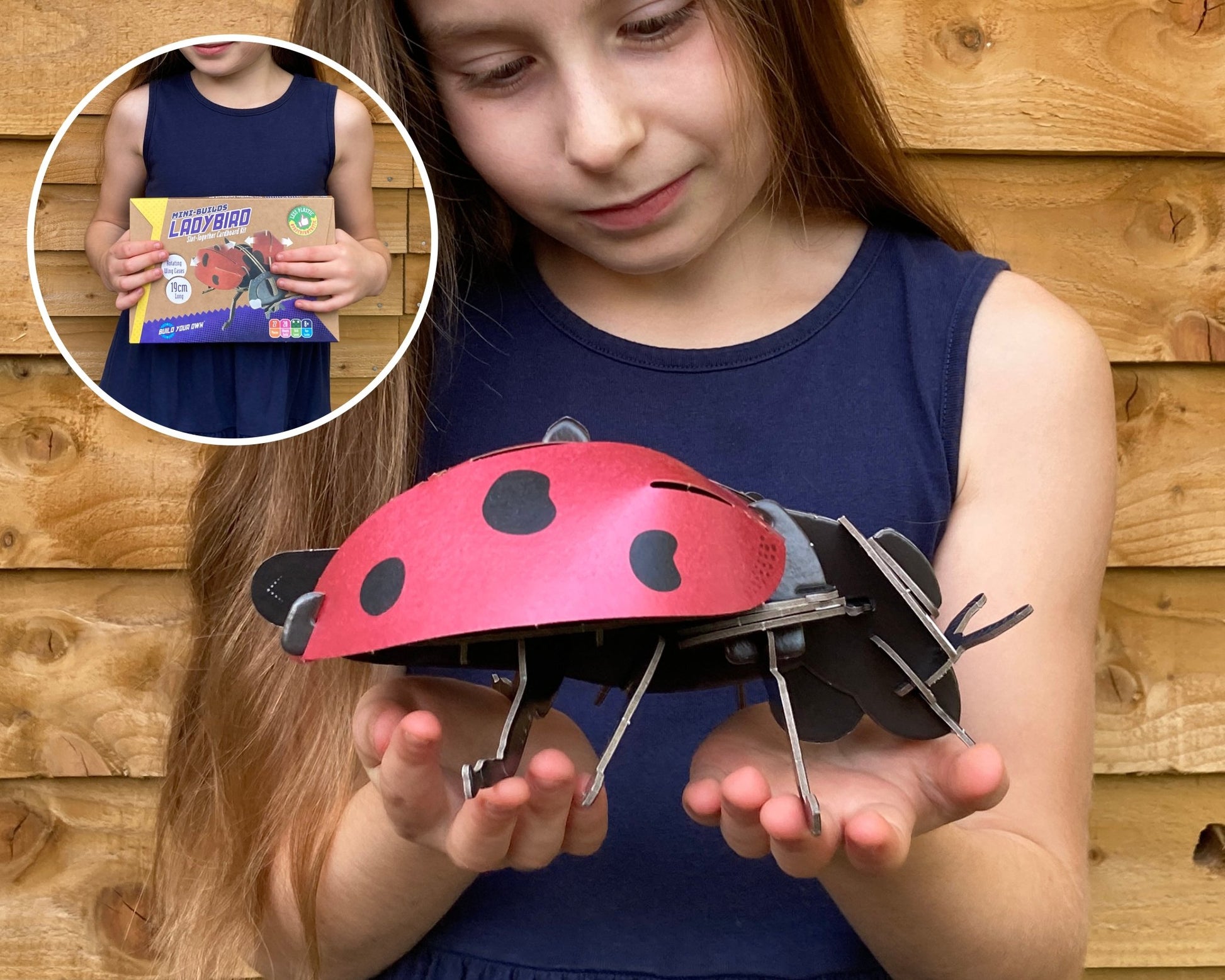 STEM Build - Ladybird with Moving Mechanisms - BYOMB 002