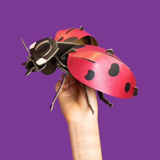 STEM Build - Ladybird with Moving Mechanisms - BYOMB 002